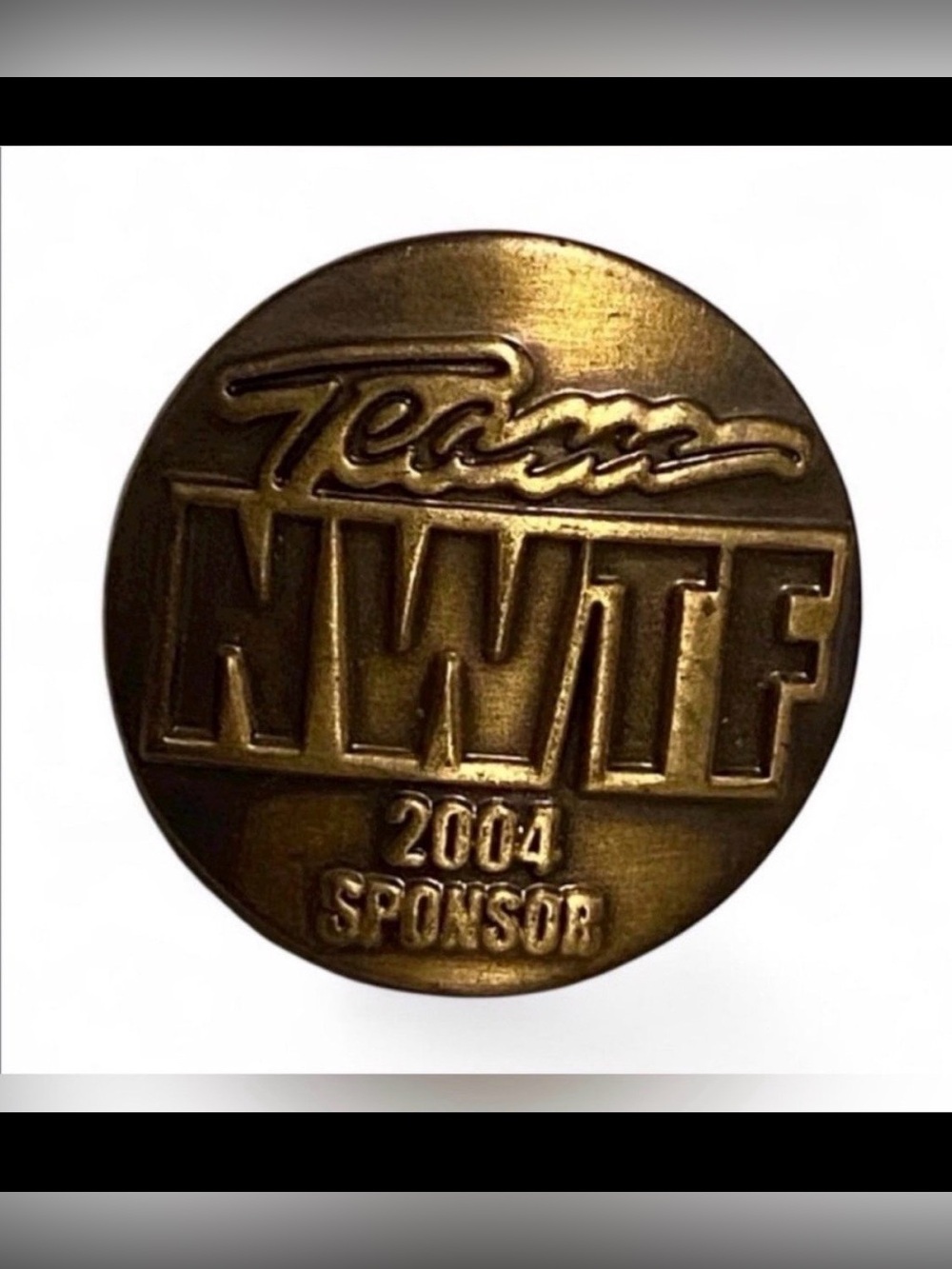 NWTF 2004 Team Sponsor Pin National Wild Turkey Federation #7652